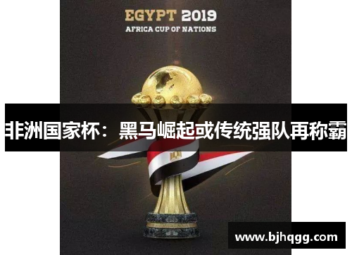 非洲国家杯：黑马崛起或传统强队再称霸